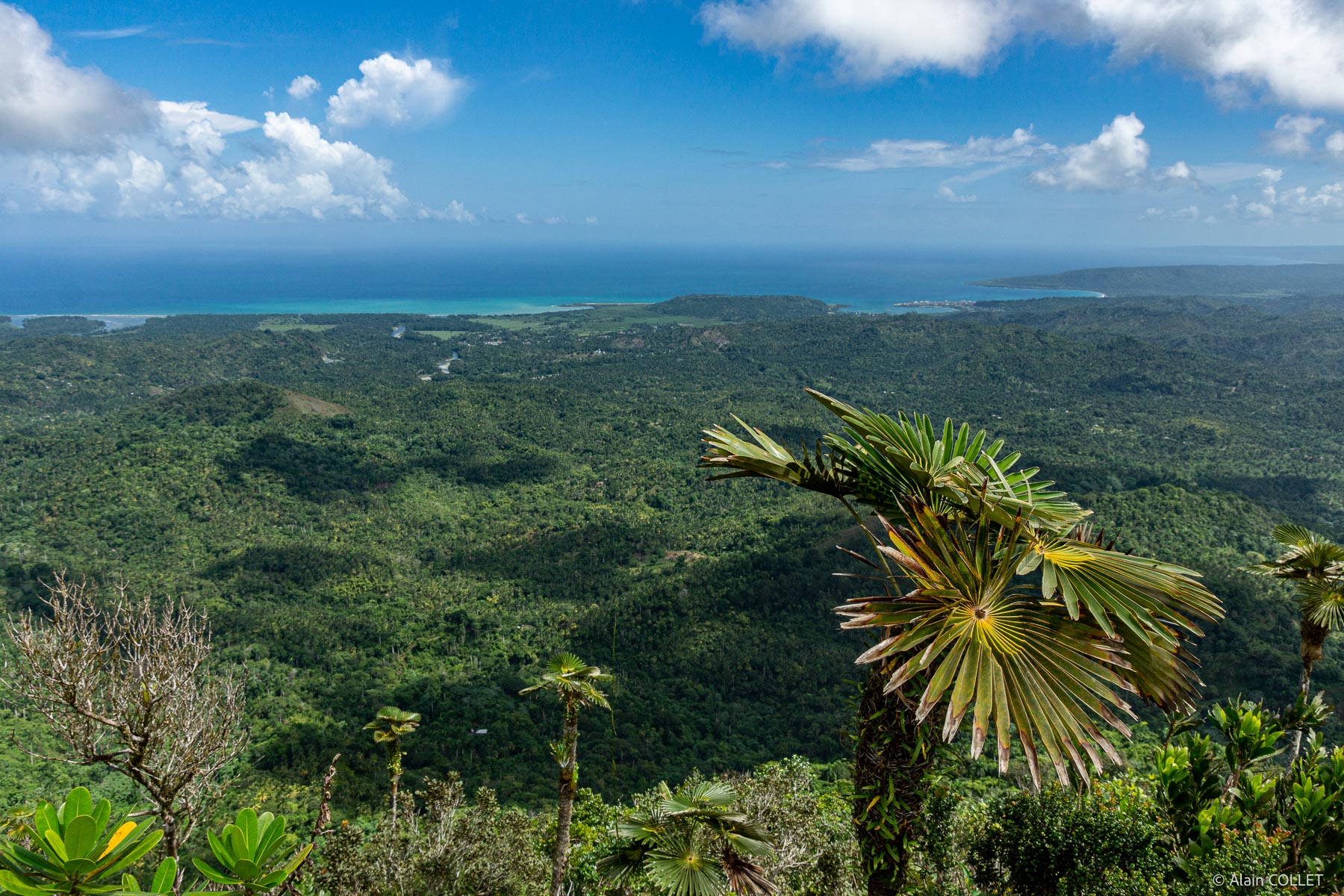 Baracoa Sommet Du Yunque Vue Est