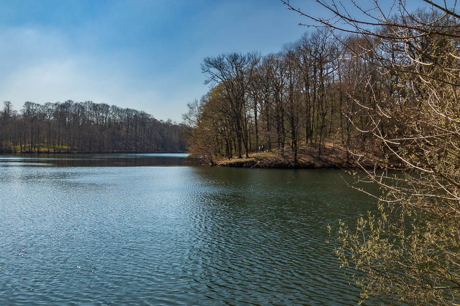 Étang du Moulin à Renard