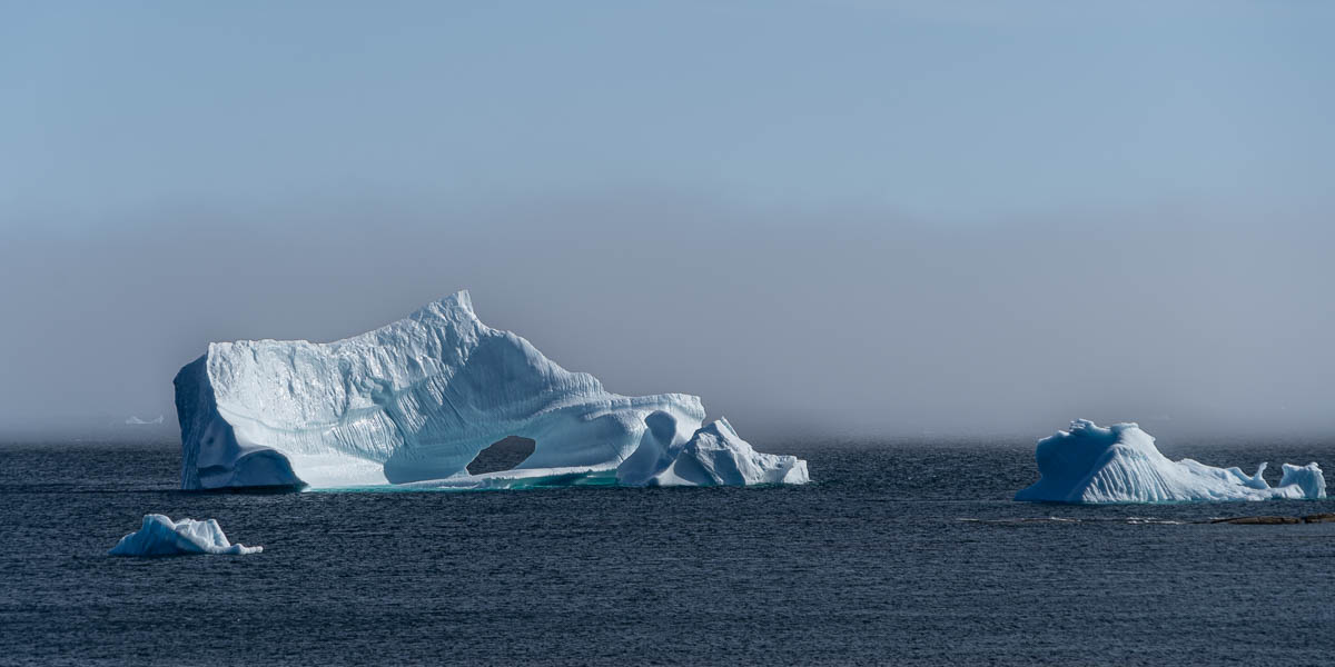Qeqertarsuaq : icebergs