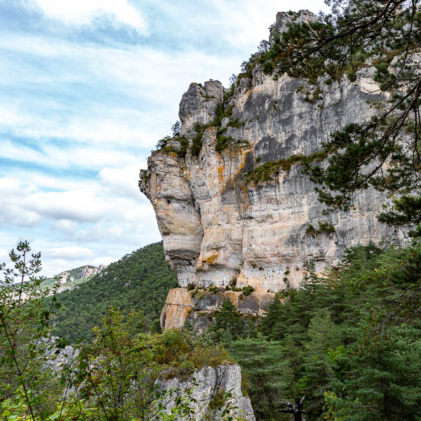 Gorges du Tarn : rocher de Francbouteille