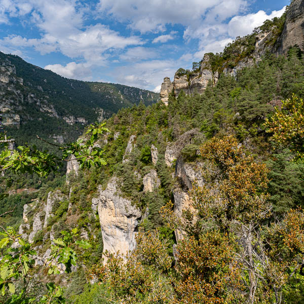 Gorges du Tarn