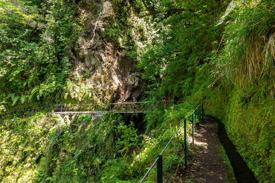 Levada dos Cedros