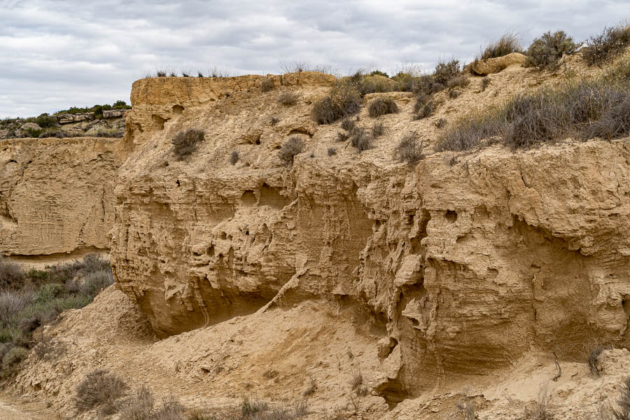 Bardena Blanca : barranco Grande