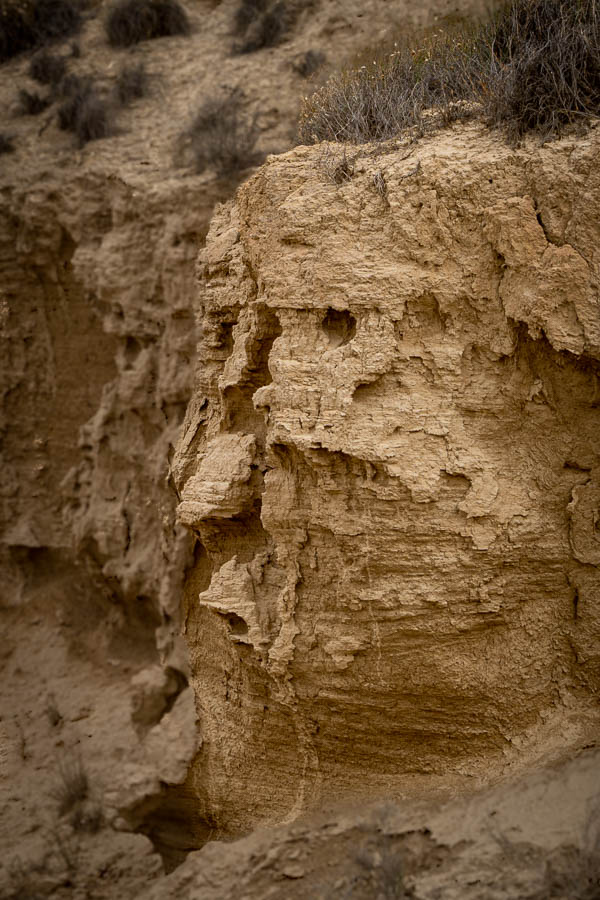 Bardena Blanca : barranco Grande