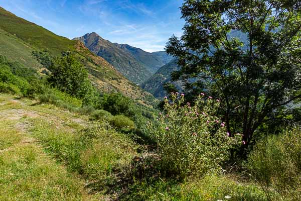 Vue vers Tavascan, tuc del Caubo, 2567 m