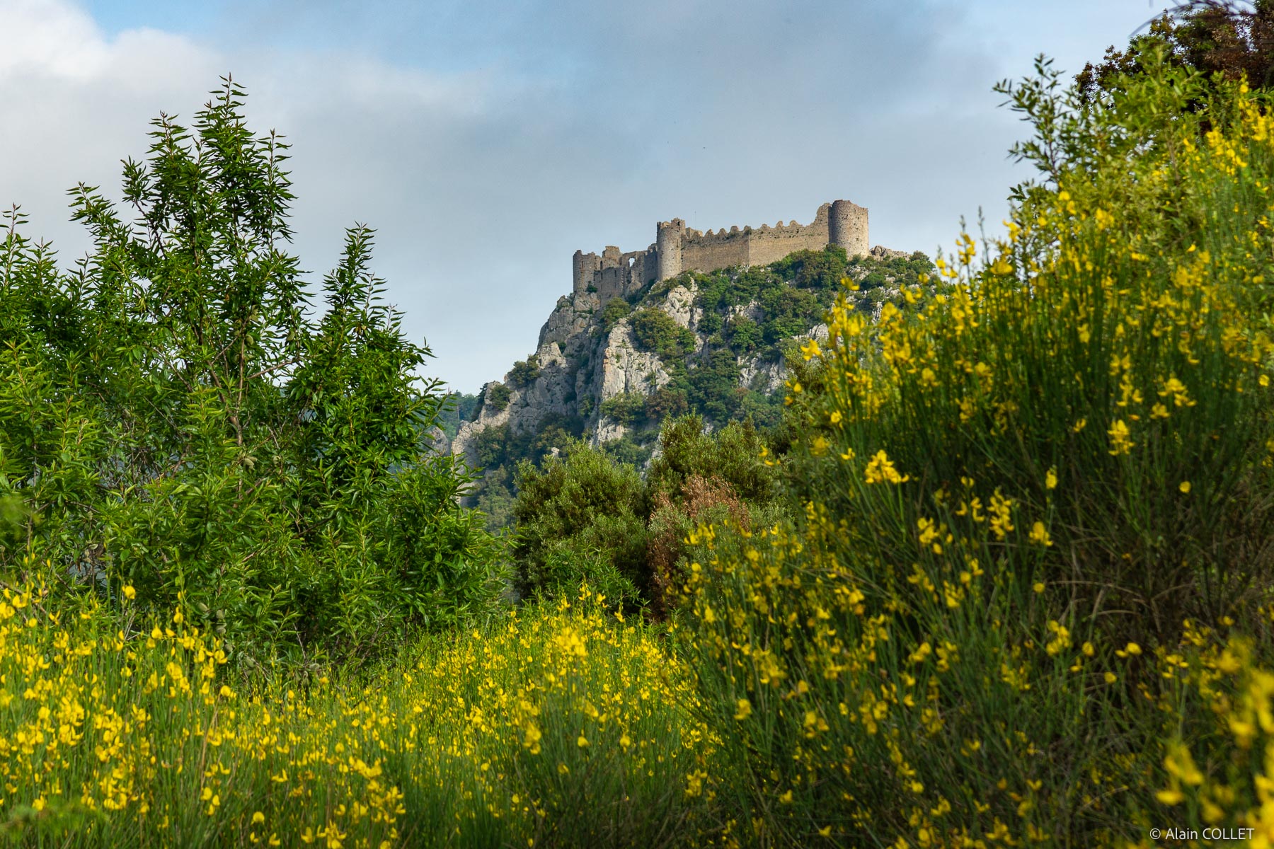 Château de Puilaurens